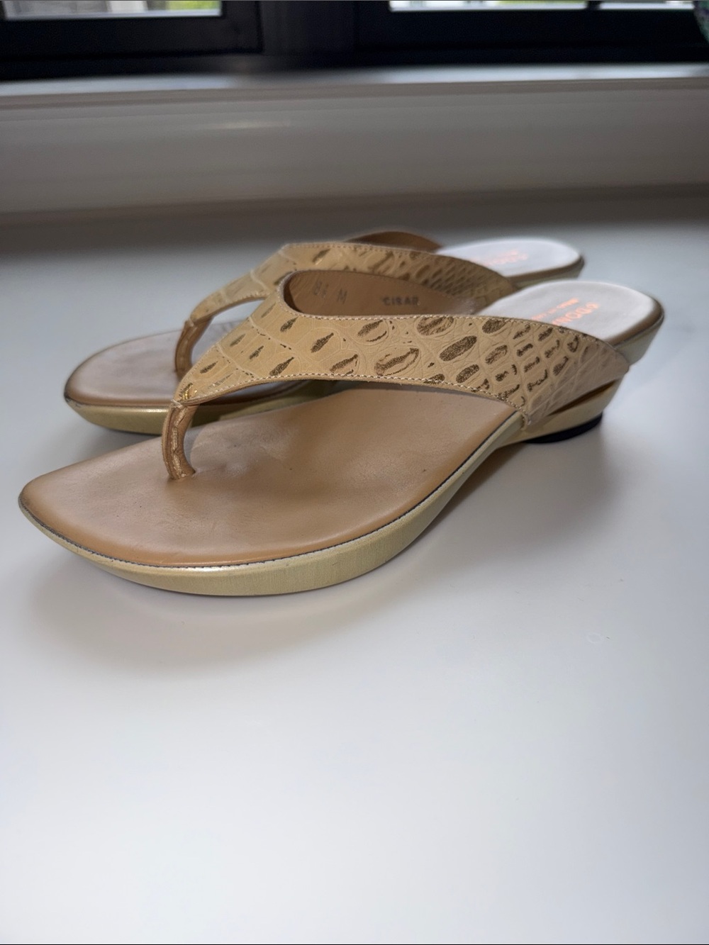 Donald J. Pliner heels